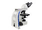 biologisches Mikroskop-binokulares Lichtmikroskop des Labor100x mit 3W LED beleuchtet fournisseur