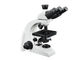 UB103i-Berufsgrad Trinocular-Mikroskop für Primärstudenten fournisseur