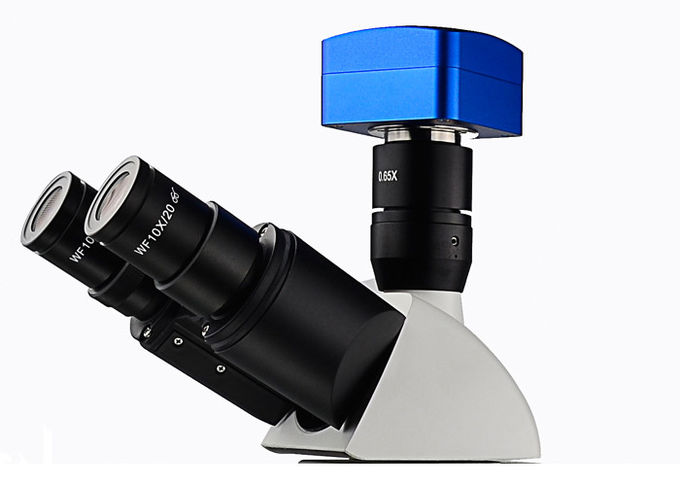 Professionelles optisches metallurgisches Mikroskop UM203i mit Lichtquelle 12V 50W