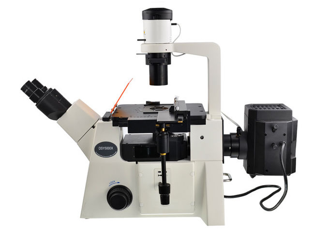 DSY5000X umgekehrter optischer Filter-aufrechtes und umgekehrtes Mikroskop des Mikroskop-B/G/V/UV