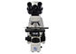 optisches Mikroskop 100X 3W LED Digital mit 5 Million Pixel-Kamera fournisseur