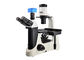 Trinocular-Phasen-Kontrast wandelte optisches Mikroskop 10x 20x 40x um fournisseur