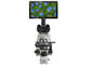 9,7 Ziel Zoll LCD Digital Mikroskop-100X mit 5 Million Pixel-Kamera fournisseur