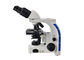 Binokulares modernes zusammengesetztes optisches Mikroskop für biologisches Labor fournisseur