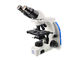 Binokulares modernes zusammengesetztes optisches Mikroskop für biologisches Labor fournisseur