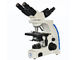 3W LED helle multi Position der linearen Wiedergabe 2 des Betrachtungs-Mikroskop-1000x fournisseur