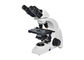 weißes Schwarzes der linearen Wiedergabe 6V 20W Labordes biologischen Mikroskop-40-1000X fournisseur