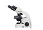 weißes Schwarzes der linearen Wiedergabe 6V 20W Labordes biologischen Mikroskop-40-1000X fournisseur