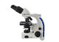 biologisches Mikroskop-binokulares Lichtmikroskop des Labor100x mit 3W LED beleuchtet fournisseur