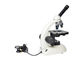 Laborausstattungs-Mikroskop 10X 40X für Sekundarschule-Studenten fournisseur