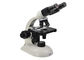 Biologie-Mikroskop-Laborstudenten-Stereomikroskop 10x 40x 100x fournisseur