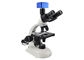 LED-Licht moderne biologisches Mikroskop-hohe Helligkeit Trinocular fournisseur