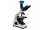 WF10X-/18mmlaborbiologisches Mikroskop Tinocular-Mikroskop mit LED-Lampe fournisseur
