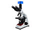 WF10X-/18mmlaborbiologisches Mikroskop Tinocular-Mikroskop mit LED-Lampe fournisseur