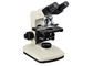 Mikroskop LED achromatisches biologisches Labor-Berufs-optisches System Finity fournisseur