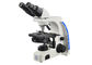 Mikroskop professionelles binokulares der Uop-Mikroskop-höchstes linearen Wiedergabe fournisseur