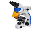Aufrechtes Fluoreszenz-Mikroskop UOP, Fluoreszenz-Mikroskopie der hohen Auflösung fournisseur