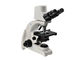 Digitalkamera-Digital 1000X Digital biologisches Mikroskop optische Mikroskop-5MP fournisseur