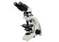 Binokulares Mikroskop UP102i der polarisiertes Lichtmikroskopie-Ausbildungs-UOP fournisseur