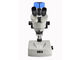 Berufsoptisches Stereomikroskop mit 5 Million Pixel-Kamera fournisseur