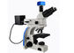 Durchlicht-aufrechtes Fluoreszenz-Mikroskop UMT203i für gerichtliche Labors fournisseur