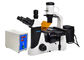 Phasen-Kontrast-UOP umgekehrtes Fluoreszenz-Mikroskop mit Filter B G fournisseur