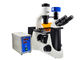 Phasen-Kontrast-UOP umgekehrtes Fluoreszenz-Mikroskop mit Filter B G fournisseur
