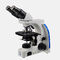 Darkfield-Live--Blut-Analyse-Mikroskop-Instrumentell-Mikroskop fournisseur