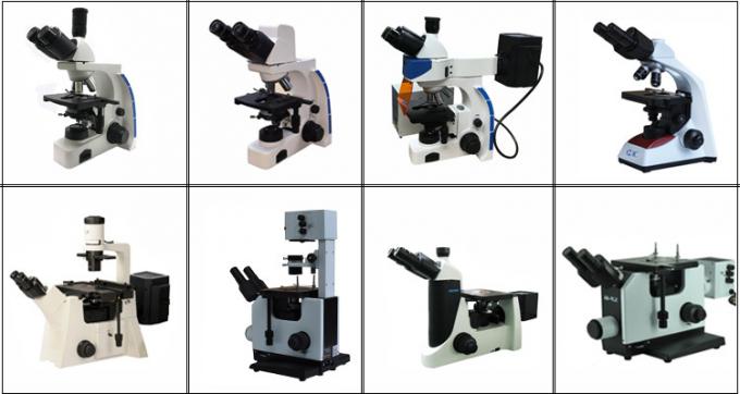 Berufs-Trinocular aufrechte Lampe des Fluoreszenz-Mikroskop-100W Mercury