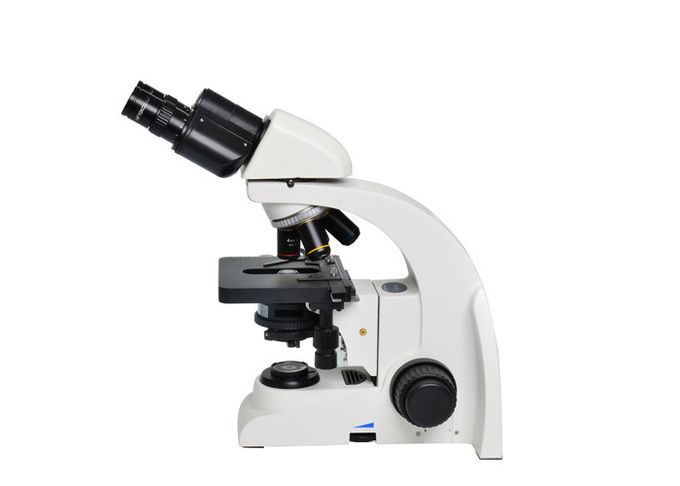 weißes Schwarzes der linearen Wiedergabe 6V 20W Labordes biologischen Mikroskop-40-1000X