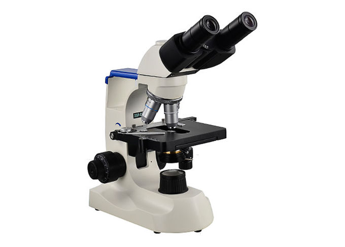 Laborbiologisches Mikroskop der Fernglas-100X für Grundschule