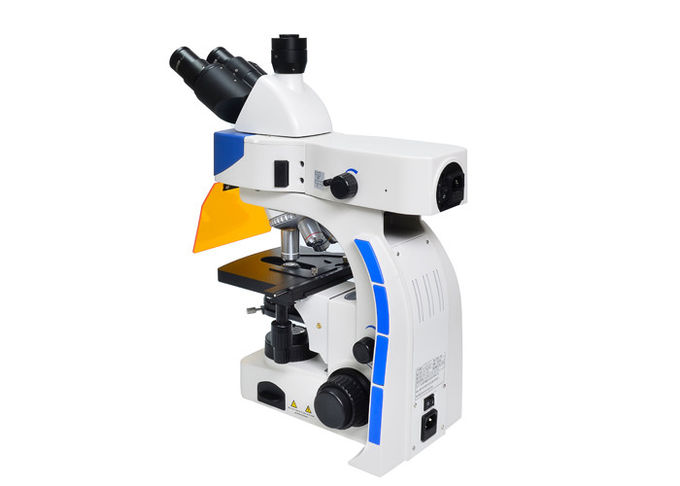Aufrechtes Fluoreszenz-Mikroskop LED Trinocular mit B u. G-Fluoreszenz-Filter