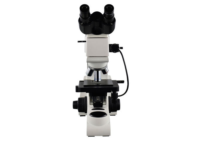 Lineare Wiedergabe des reflektiertes Lichtmikroskopie-binokulare metallurgischen Mikroskop-50X-500X