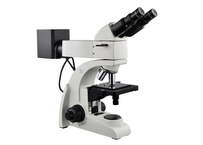 Lineare Wiedergabe des reflektiertes Lichtmikroskopie-binokulare metallurgischen Mikroskop-50X-500X