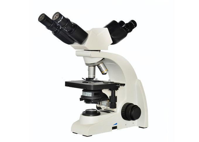 Optisches Mikroskop der linearen Wiedergabe 100x für Schulbildungs-Unterricht