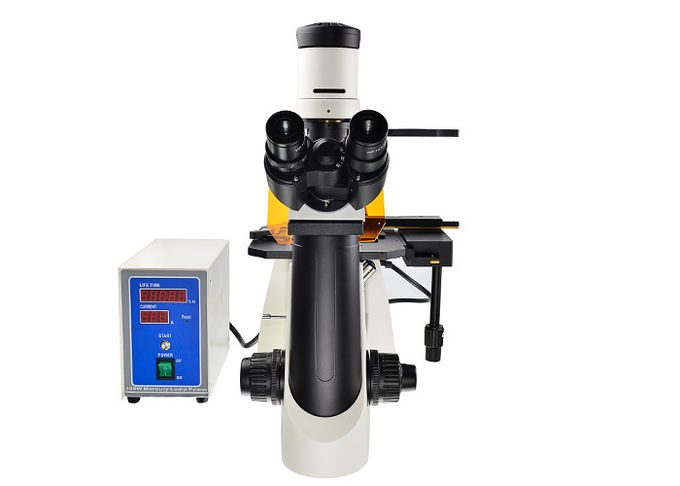 V-/UVfilter-aufrechtes Mikroskop-und umgekehrtes Mikroskop-verknüpfbares mechanisches Stadium